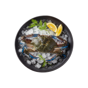 Blue Crab