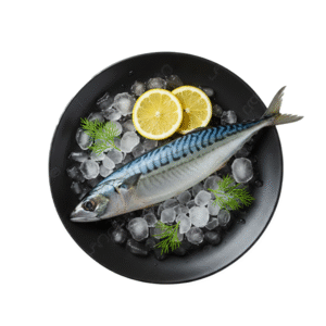 Indian Mackerel