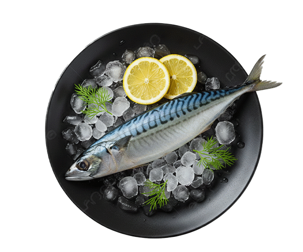 INDIAN-MACKEREL.png