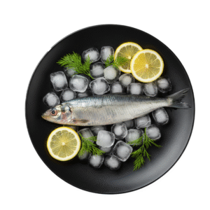 Sardinella