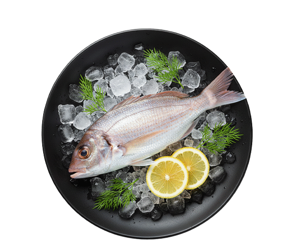 THREADFIN-BREAM.png