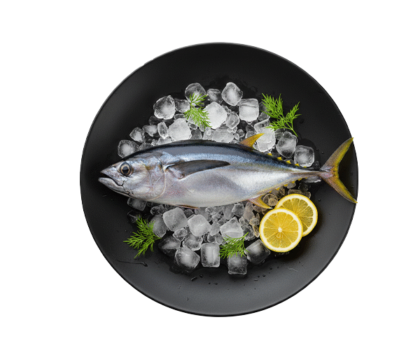 YELLOWFIN-TUNA.png